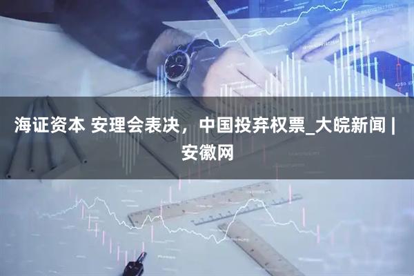 海证资本 安理会表决，中国投弃权票_大皖新闻 | 安徽网
