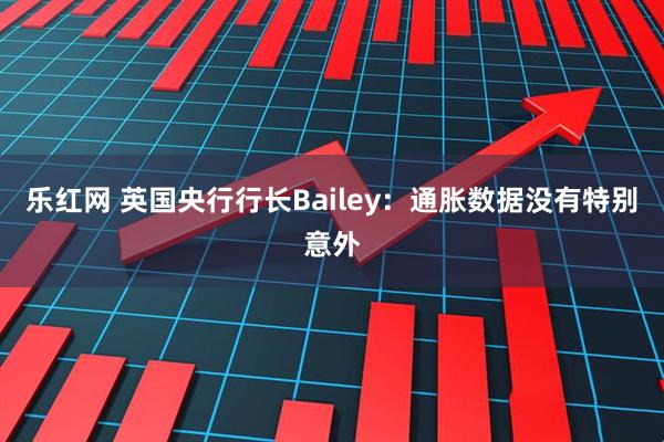 乐红网 英国央行行长Bailey：通胀数据没有特别意外