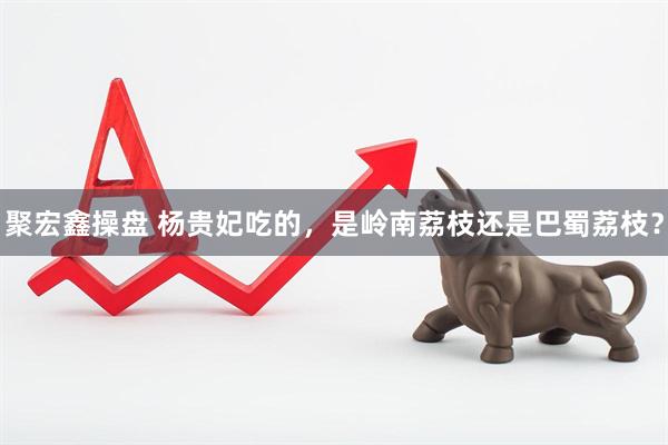 聚宏鑫操盘 杨贵妃吃的，是岭南荔枝还是巴蜀荔枝？