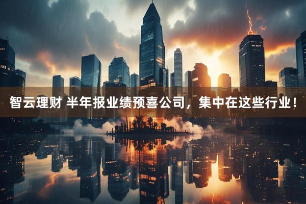 智云理财 半年报业绩预喜公司，集中在这些行业！