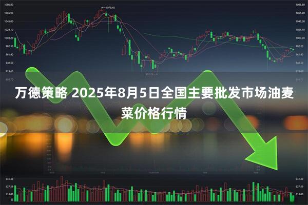 万德策略 2025年8月5日全国主要批发市场油麦菜价格行情