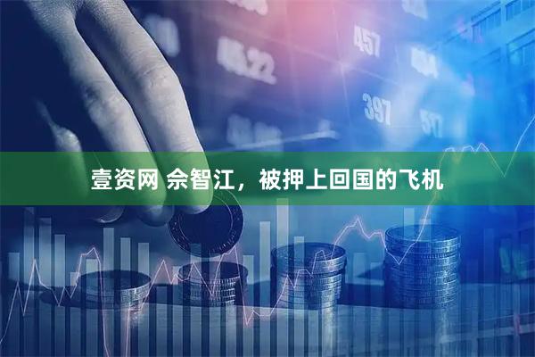 壹资网 佘智江,被押上回国的飞机