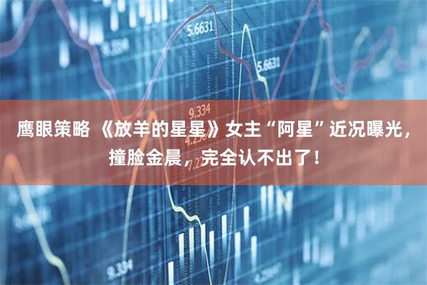 鹰眼策略 《放羊的星星》女主“阿星”近况曝光,撞脸金晨,完全认不出了!