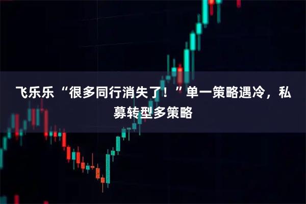飞乐乐 “很多同行消失了!”单一策略遇冷,私募转型多策略