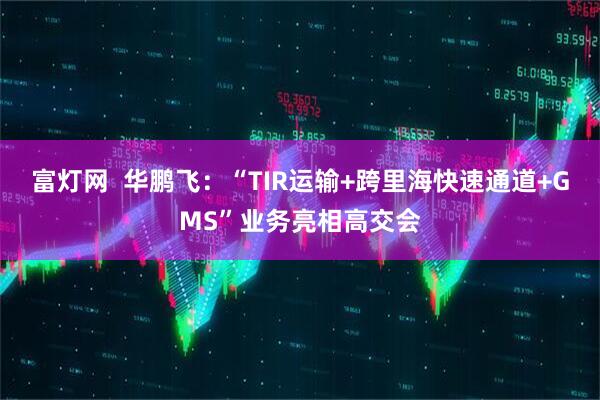 富灯网 华鹏飞:“TIR运输+跨里海快速通道+GMS”业务亮相高交会